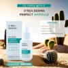 O'Rea Derma Perfect Ampoule